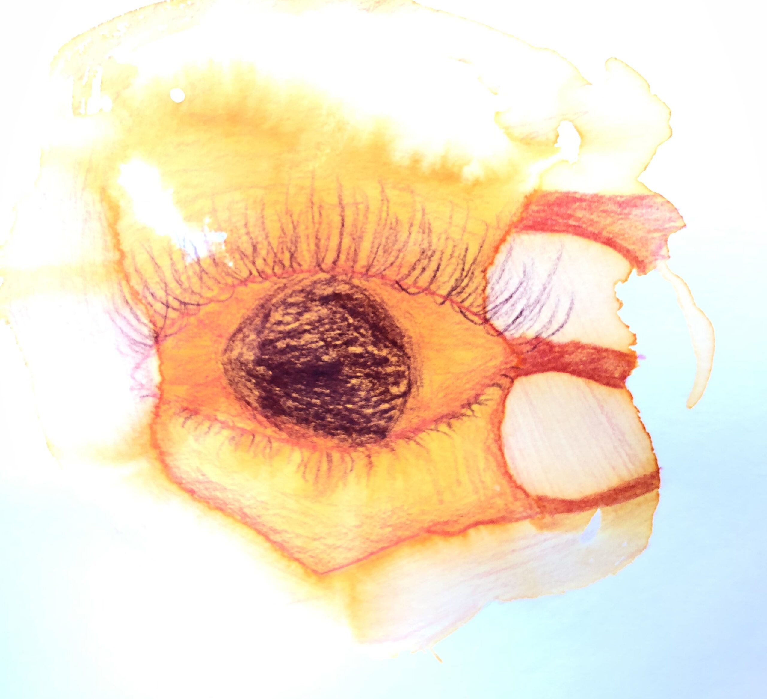 Cultuurdagen november 2025 – Klas 1 en 2